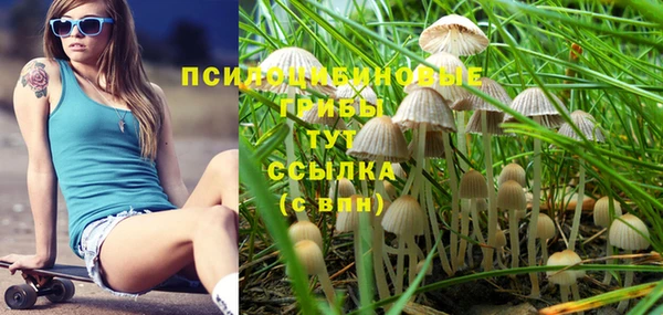 экстази Абаза