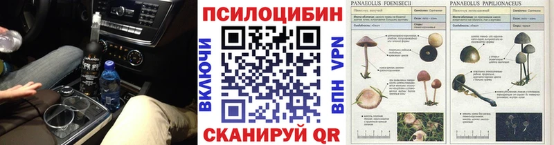 купить наркотик  Алатырь  kraken ссылки  Псилоцибиновые грибы прущие грибы 