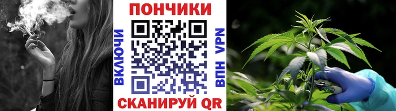 Бошки марихуана AK-47  купить  цена  Алатырь 